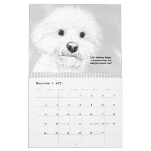 Cats and Dogs 2021 Haiku Calendar