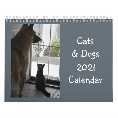 Cats and Dogs Calendar