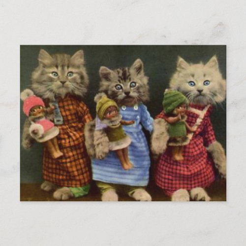 Cats and Dolls Postcard