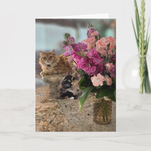 Cats and Flowers Card