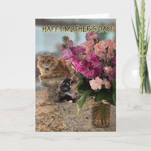Cats and Flowers for Mothers Day Card