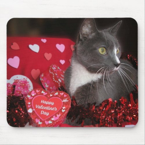 Cats and Kisses Mouse Pad