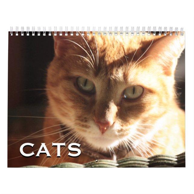 Cats and Kittens Calendar (Cover)