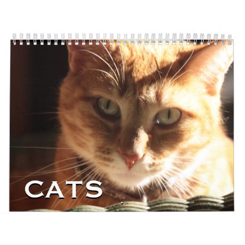 Cats and Kittens Calendar