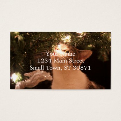 Cats and lights - Christmas cat -christmas tree Business Card