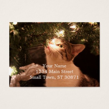 Cats and lights - Christmas cat -christmas tree Business Card