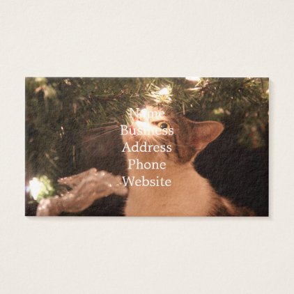 Cats and lights - Christmas cat -christmas tree Business Card