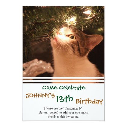 Cats and lights - Christmas cat -christmas tree Card