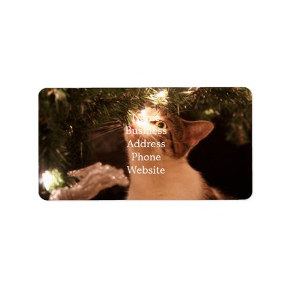 Cats and lights - Christmas cat -christmas tree Label