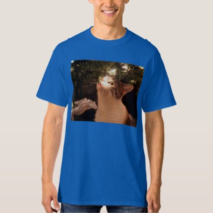 Cats and lights - Christmas cat -christmas tree T-Shirt