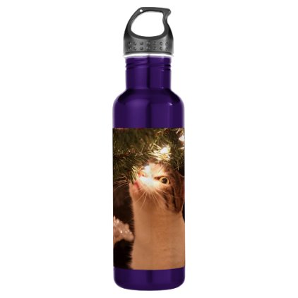 Cats and lights - Christmas cat -christmas tree Water Bottle