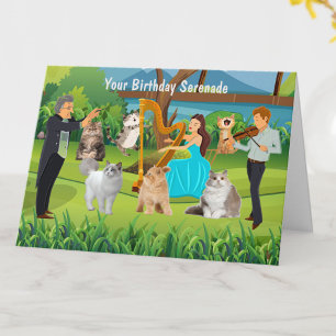 Cats and Musicians Fun Birthday Serenade Card