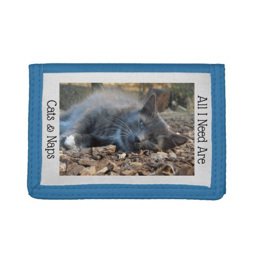 Cats and Naps Wallet