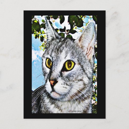 Cats and Nature In Full Bloom Digital Art Postcard