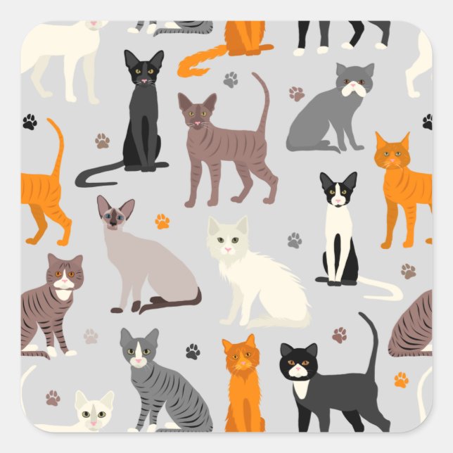 Cats and Paw Prints Square Sticker (Front)