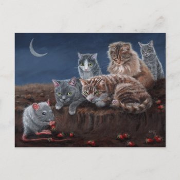 Cats And Rat With Postcard by KMCoriginals at Zazzle