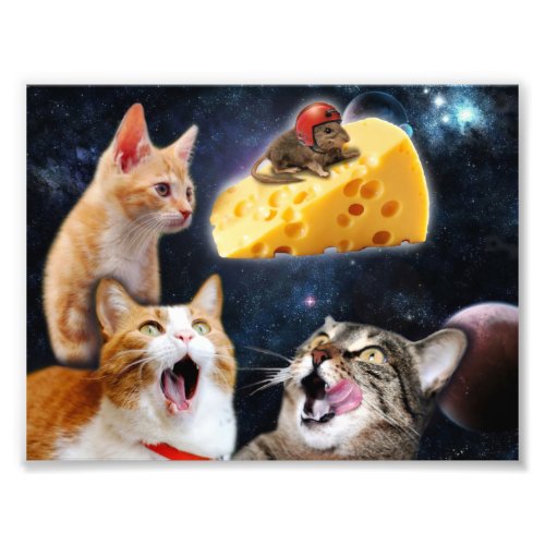 Cats and the mouse photo print