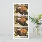 Cats are a-holes (Standing Front)