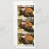 Cats are a-holes (Front/Back)