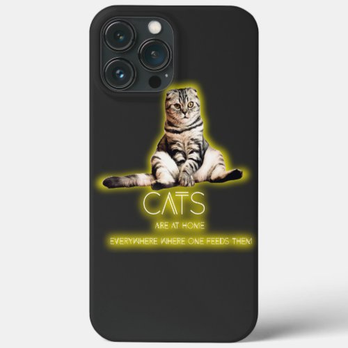 Cats Are At Home Everywhere Where One Feeds Them iPhone 13 Pro Max Case