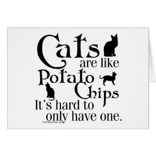 Cats are like potato chips... cards