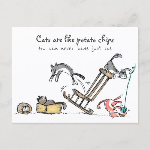 Cats are like potato chips  Funny Cat Postcard