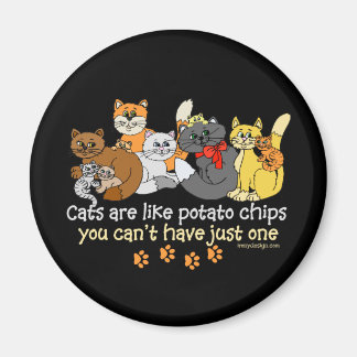 Cats are like potato chips magnet