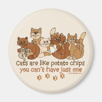 Cats are like potato chips magnet
