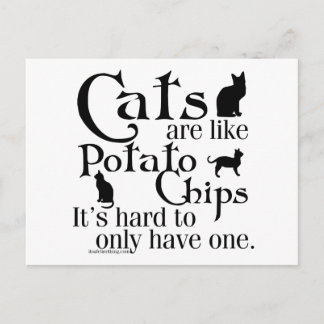 Cats are like potato chips... postcard
