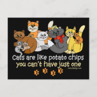 Cats are like potato chips