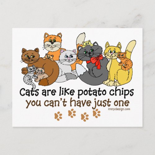 Cats are like potato chips postcard