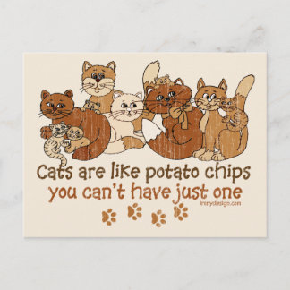 Cats are like potato chips postcard