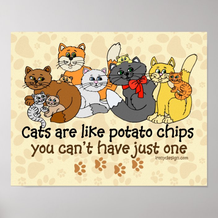 cats_are_like_potato_chips_poster-rb4346ac9d19e4d3b95dc4f884e652801_wee_8byvr_704.jpg