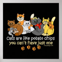 Cats are like potato chips posters