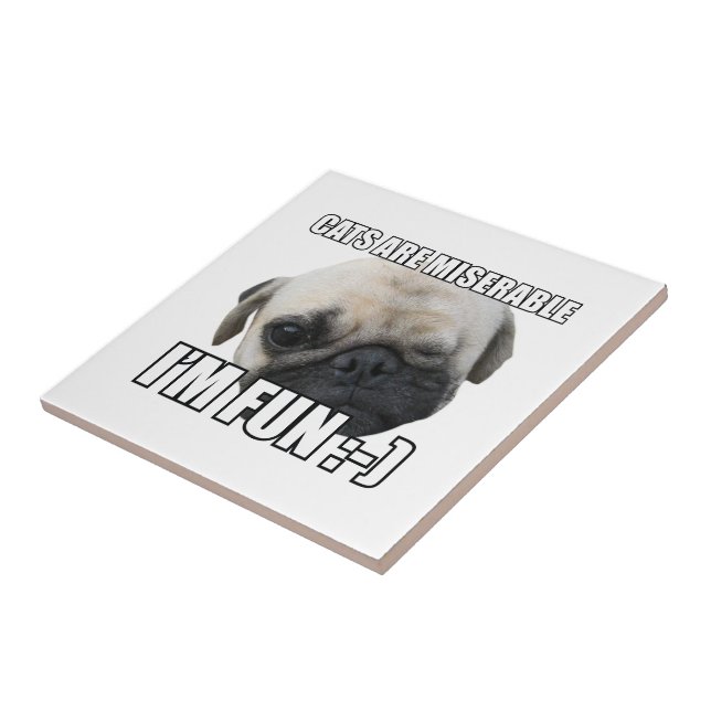 CATS ARE MISERABLE I'M FUN :-) MEME TILE (Side)