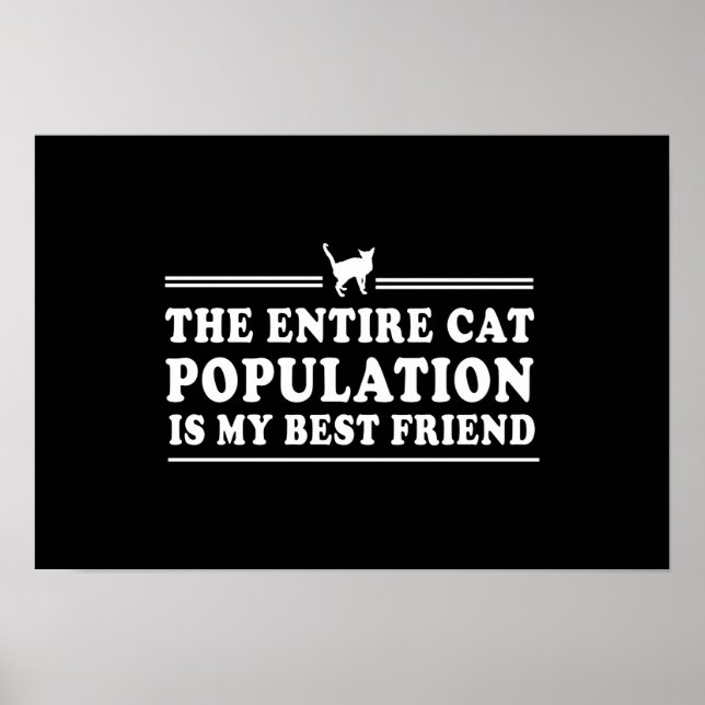 Cats are my Best Friend Poster (Front)