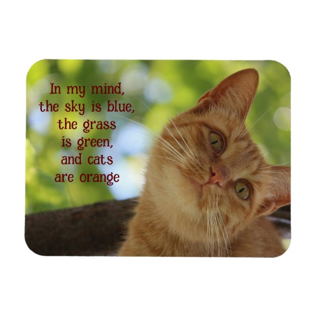 Cats Are Orange Magnet (Horizontal)