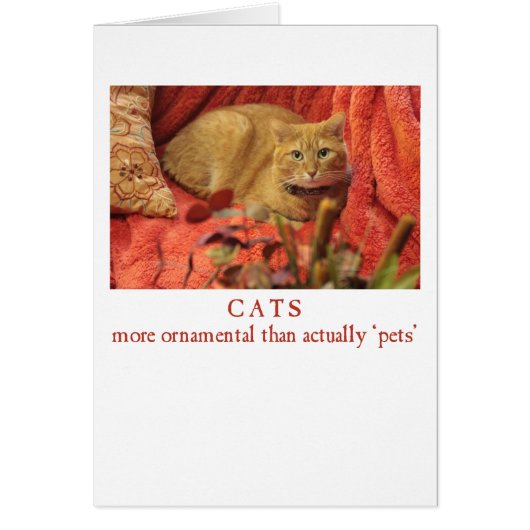 Cats are Ornamental Cards (Front)