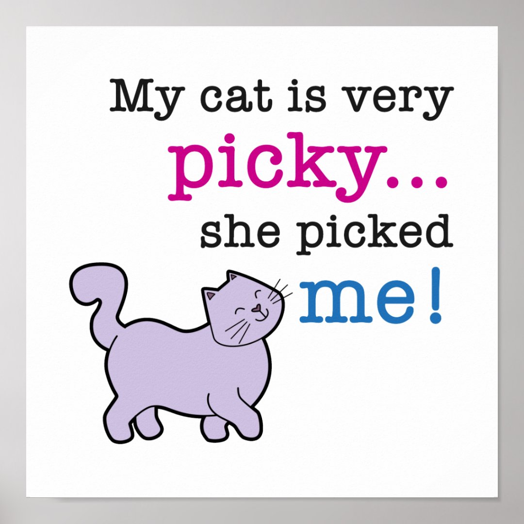 Cats Are Picky Funny Cat Saying Poster Zazzle