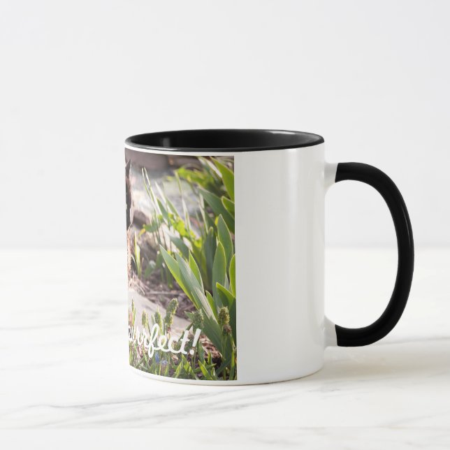 CATS ARE PURFFECT COFFEE MUG (Right)