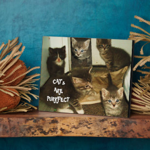 CAT'S ARE PURRRFECT  PLAQUE