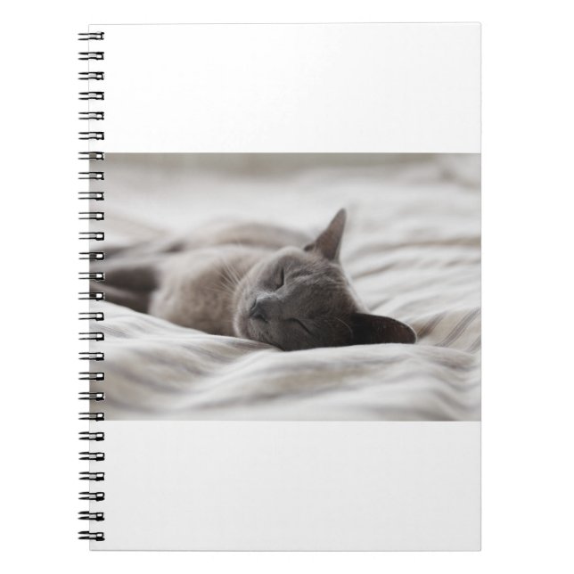 Cats Are The Best 66 Notebook (Front)