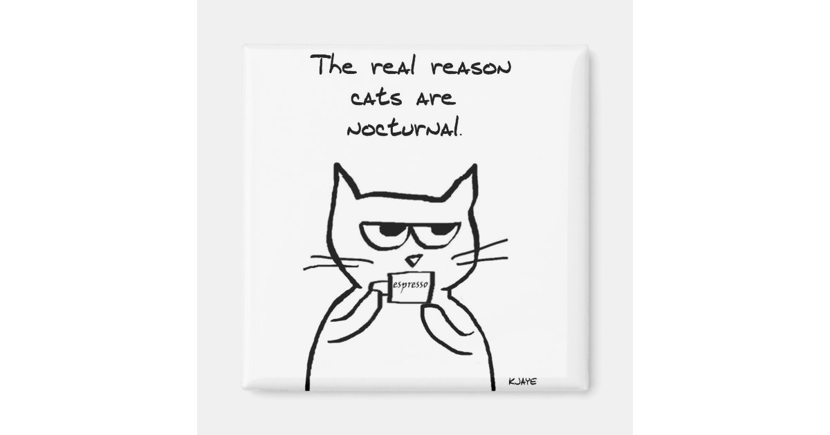 Cats Are Up All Night Funny Cat Magnet Zazzle Com