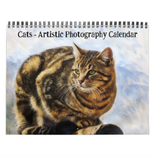 Cats Artistic Photography Calendar