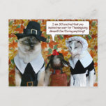 Cats As Pilgrims With Turkey Thanksgiving Card at Zazzle
