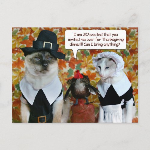 Cats as Pilgrims with Turkey Thanksgiving Card