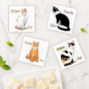 Cats Assorted Designs Personalized Coaster Set