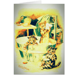 Cat's Bath Cards