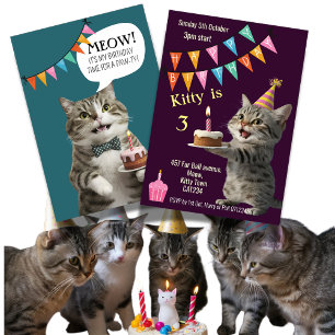 Cat's birthday party kitten celebration Invitation