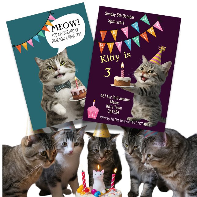 Cat's birthday party kitten celebration Invitation (Creator Uploaded)